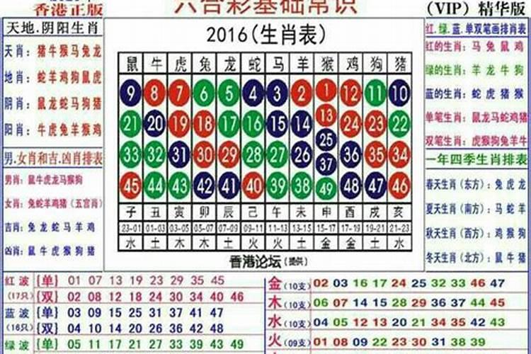 1978年属马手机尾号最好生肖马的吉祥数字