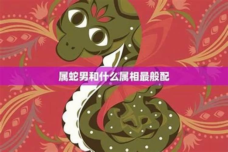 属蛇的属相婚配表