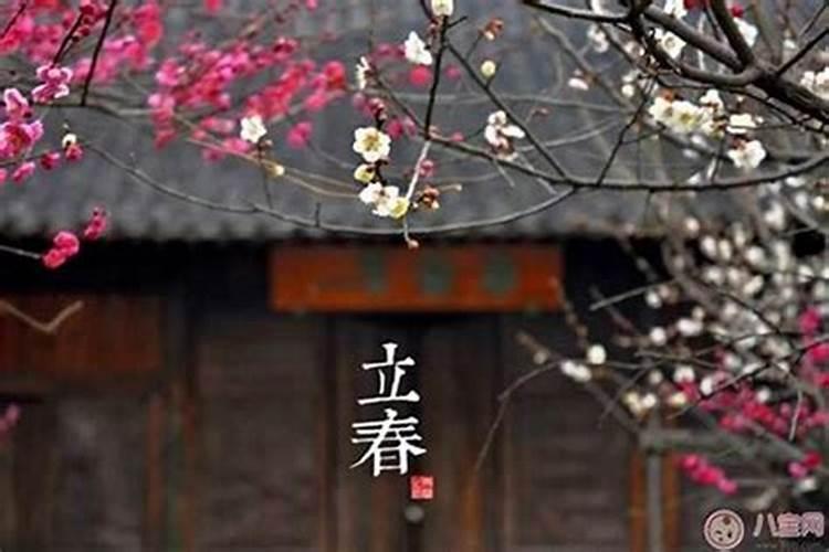2025年化解破太岁最佳方法