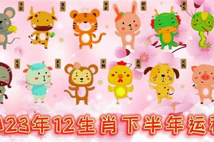 2025年12生肖运势解析完整版