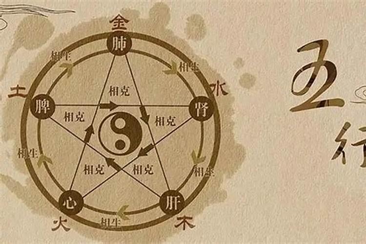 木多八字的女人富贵命 有什么说法？