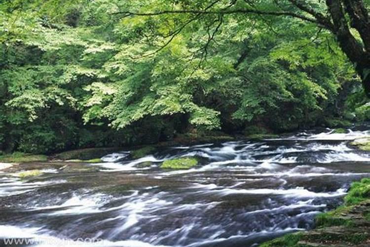 梦见流水什么意思 9种预示你要注意