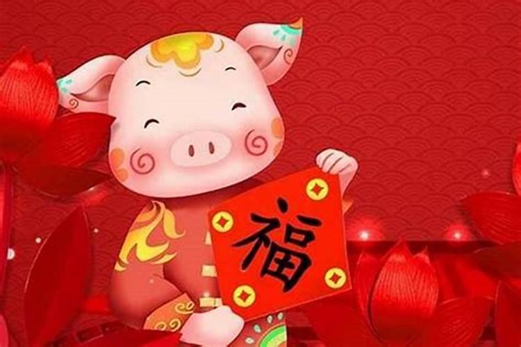 2025属猪人的全年每月运势