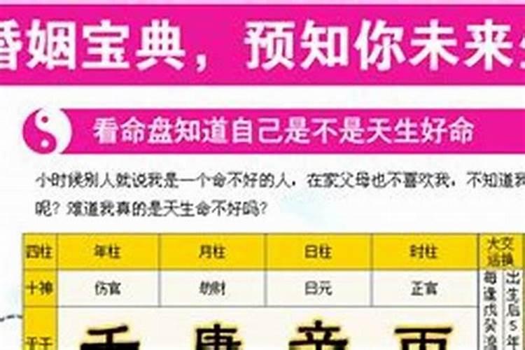 八字看你的老婆会不会出轨？