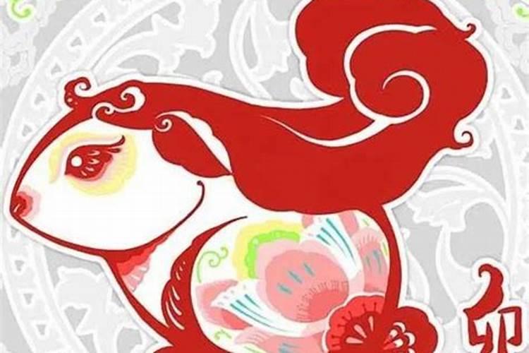 2025属猪女冲太岁忌讳什么