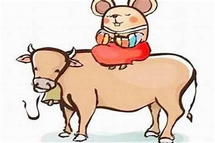 属牛和属鼠的合不合 婚姻财运事业佳
