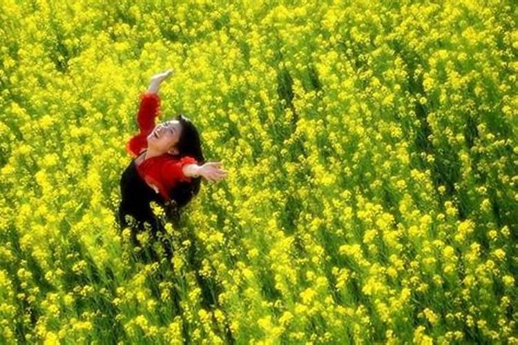 梦见老鼠咬人预示什么意思