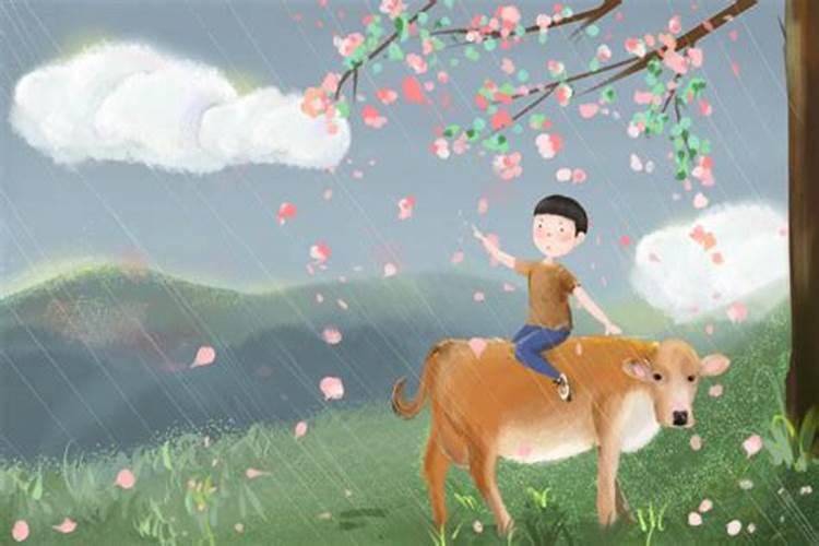 在清明节出生的男孩命运如何