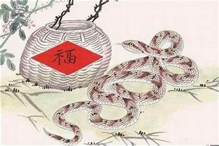 属蛇人2025年全年运势运程