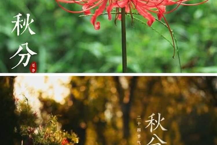 春分秋分是几号