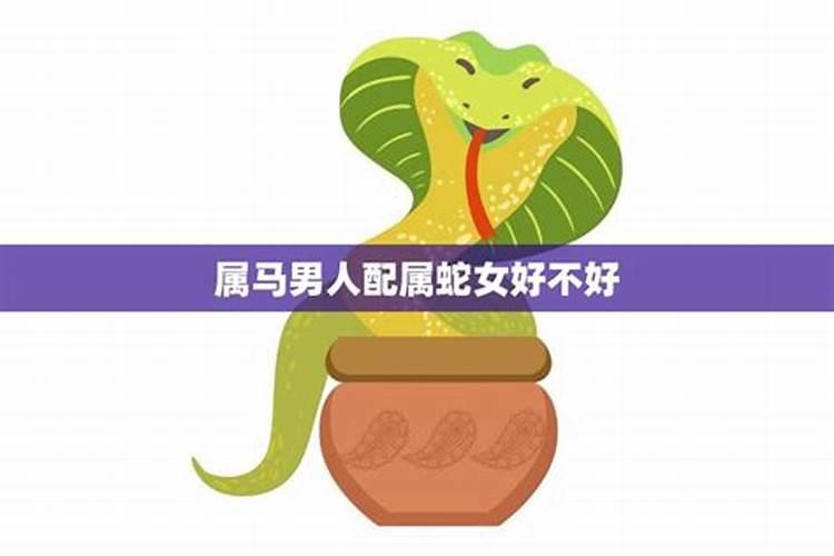 属鼠的女人嫁给属蛇的怎么样 鼠蛇一起谁吃亏