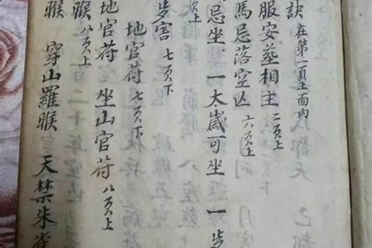 81属鸡戴什么聚财最旺