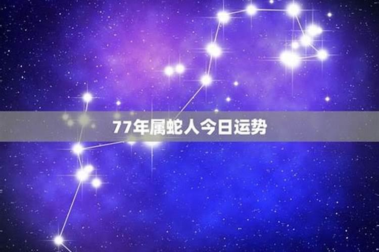 2024年属蛇77年运程(77年蛇2024年运势及运程每月运程)