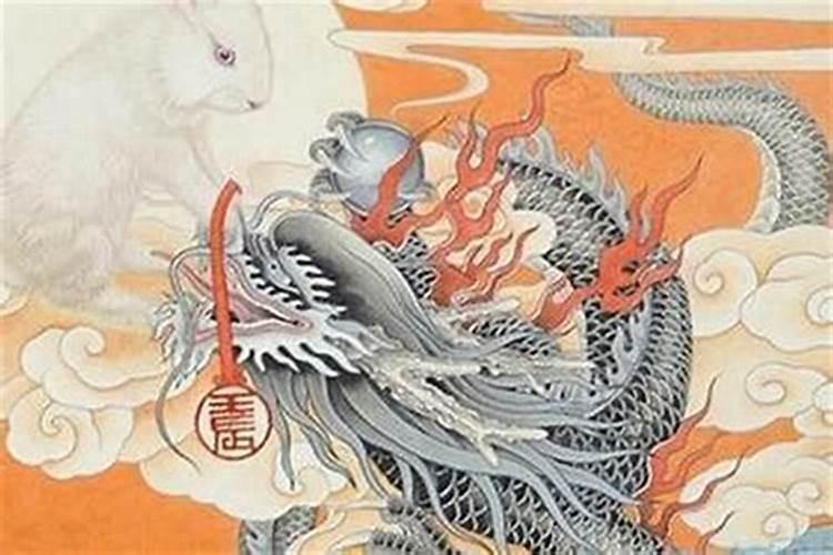 女马和男龙能不能在一起