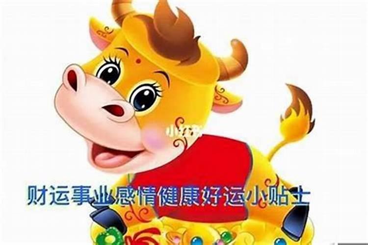 1985年属牛是金命还是木命 一生运势详解？