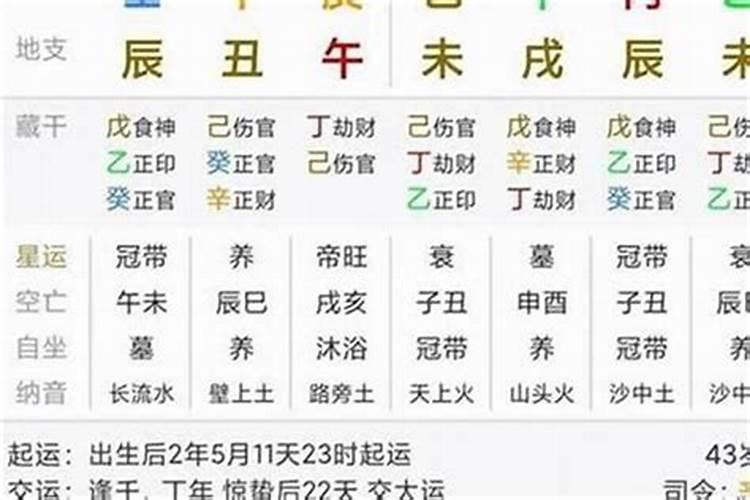 1987 年兔2021 女兔运