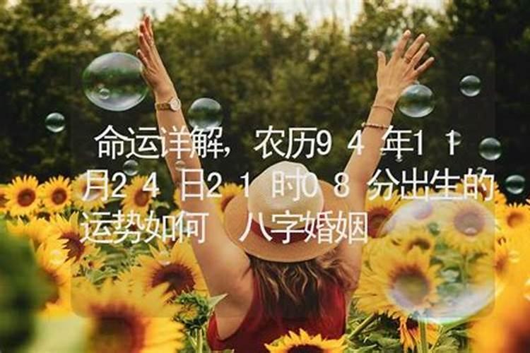 66年属马的2025年运势怎么样