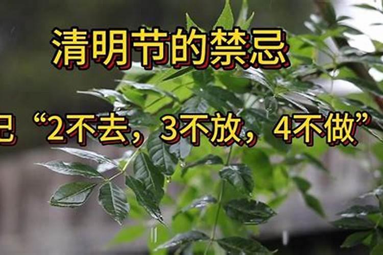 八字行财运是什么意思财星为喜用发大财