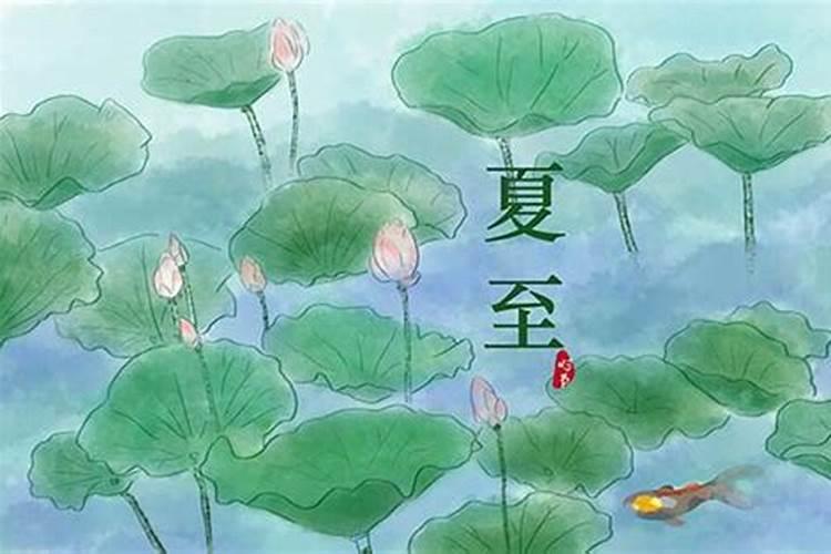 夏至节气的含义是什么意思
