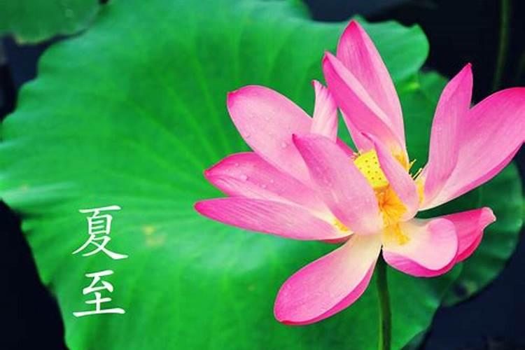 二十四节气夏至啥意思