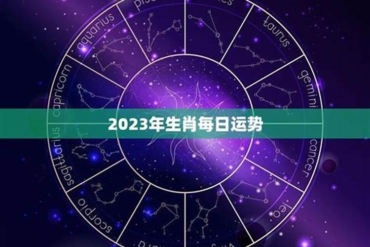 2025年5月14日幸运生肖