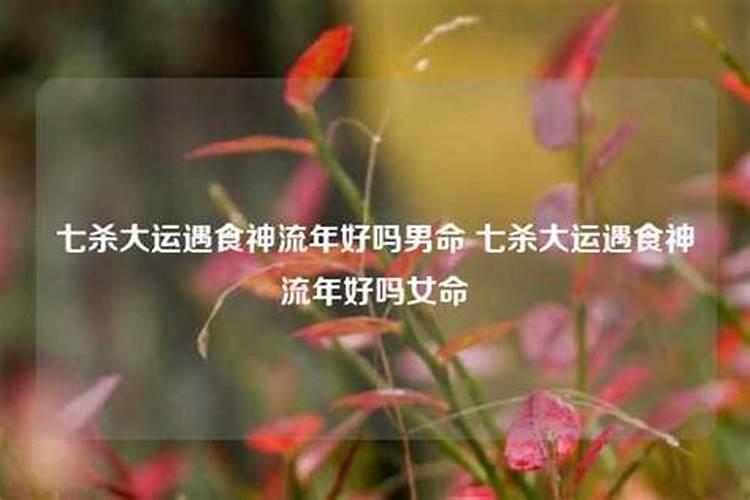 男命走食神运好不好,会怎么样？