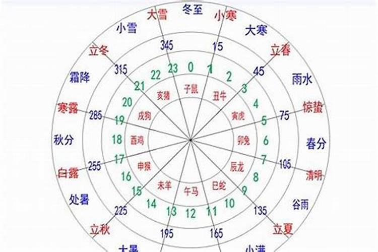 1999年属兔女2024年运势及运程详解