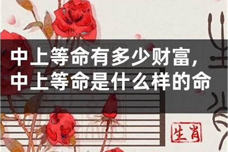 八字中等以上什么意思
