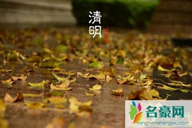 算命的真能将自己的命运算出来不
