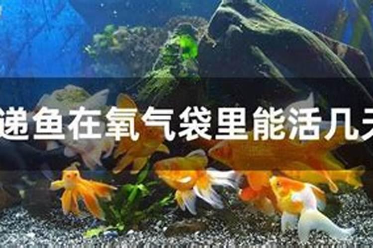...农历1988年3月18 辰时出生 算下今年的运程!