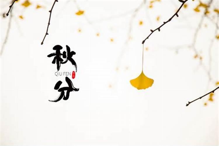 秋分是丰收节吗 秋分又叫什么节日
