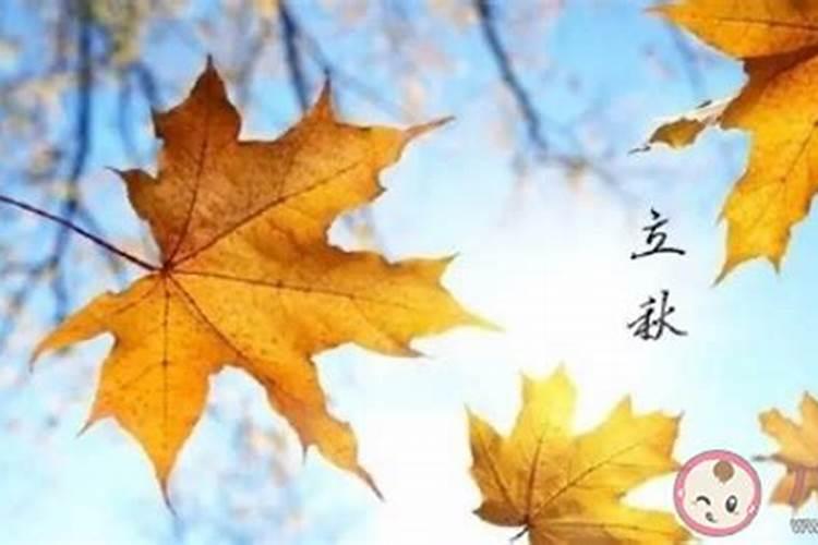 狗为什么喜欢属兔在一起合适吗