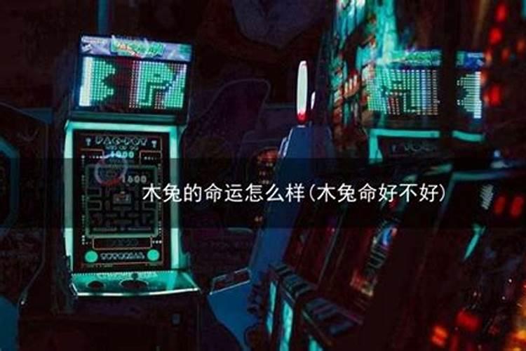 1975年属兔命是什么意思啊,1975年属兔的一生财运