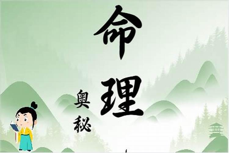 乙亥年生山头火命