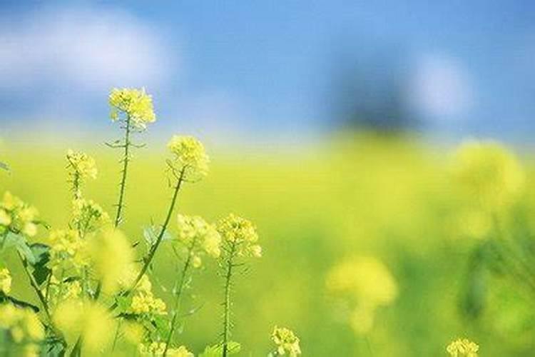 农历七月十五出生的人 是不是鬼节出生的人运气很差
