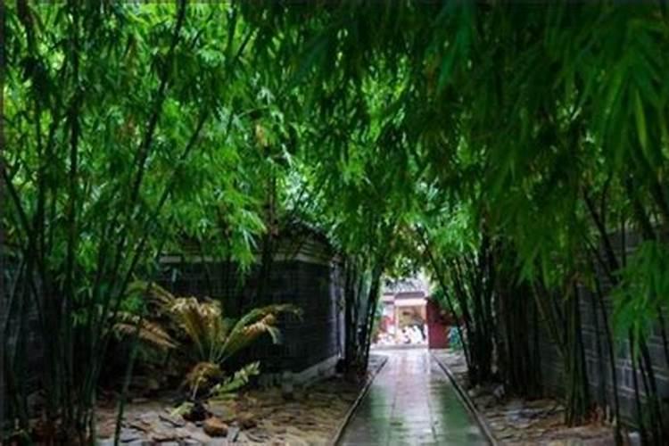 芒种节气的特点与风俗