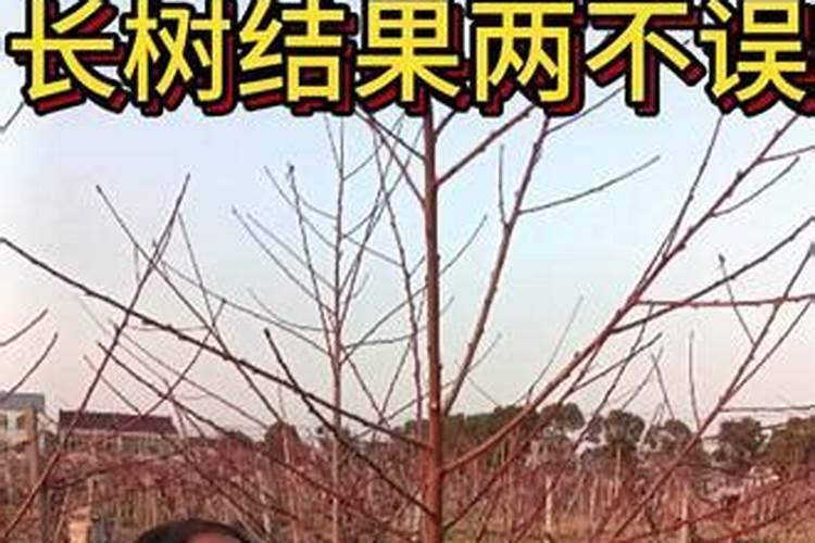 农历新的一年是从立春开始还是从大年初一开始