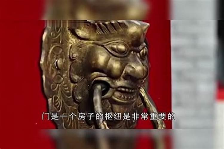 属牛和属鼠的合不合