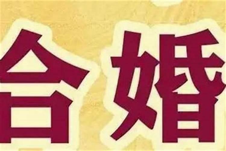 合婚和结婚的区别,已经结婚了还能算合婚吗？