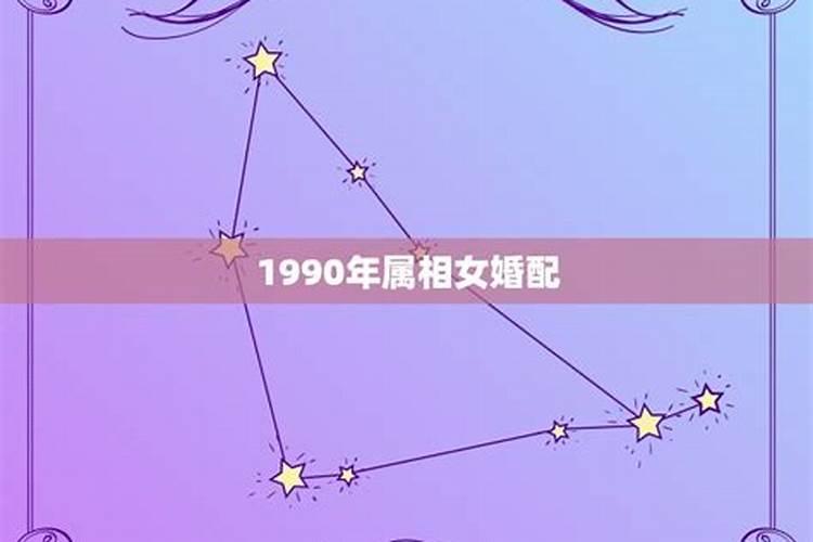 84年鼠哪些年犯太岁