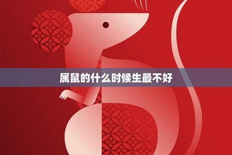 属鼠的几点出生有福气