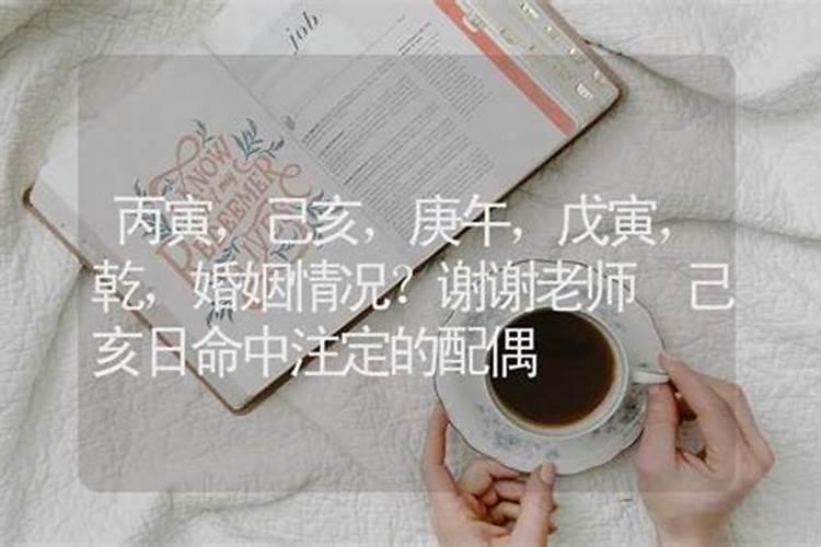 乙亥年生女与丙寅年男合不合
