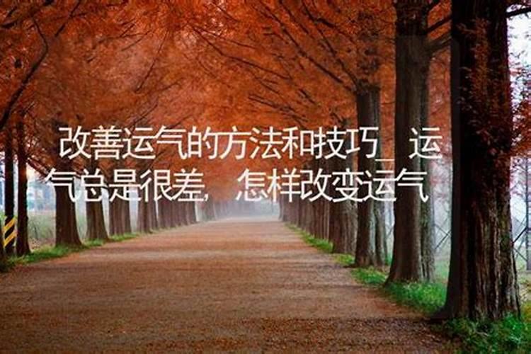 命数风水解说:四柱大运流年的用法