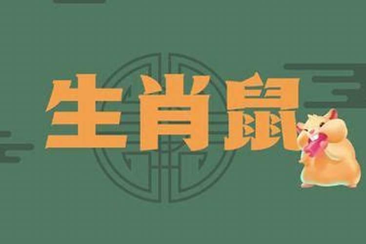 生肖鼠1972年2025年运势如何 生肖鼠1972年2025年全年运势