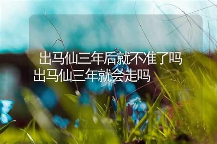 属龙2025年运势及运程每月运程