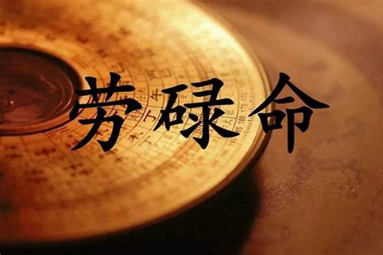 24年属兔的总体运程每月运程详解