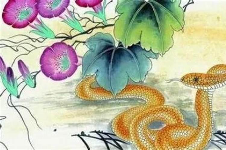 65年属蛇2025年运势如何