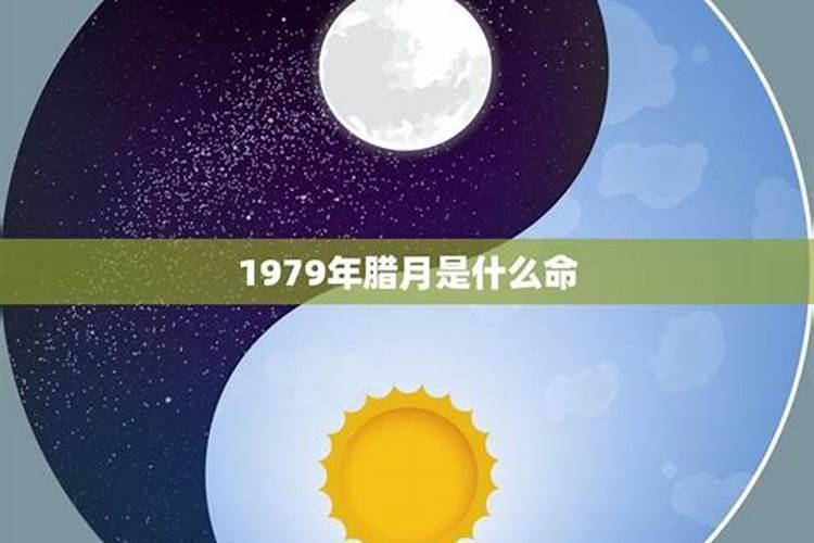 62年农历12月28月出生的人属相是虎还是属兔？