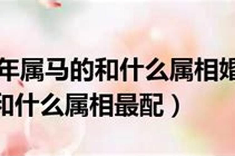 属马的女人和什么属相结婚最好呢？