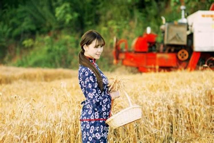 属马女和什么属相最配婚姻